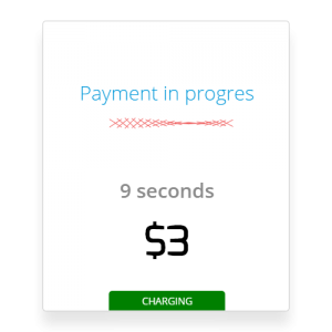 skyprivate-payment-in-progress-skype-plugin
