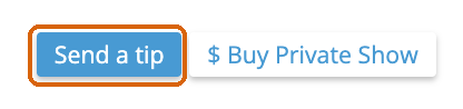 The Send a tip button on a model's profile